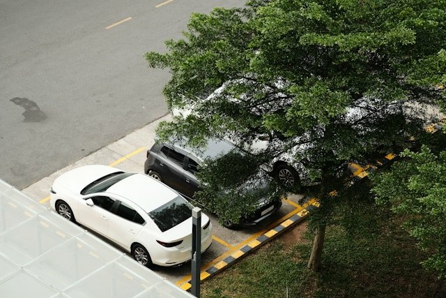 Tendances de parking