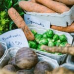 alimentation équilibrée