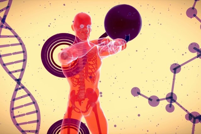 système immunitaire