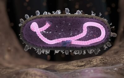 Microbiome intestinal
