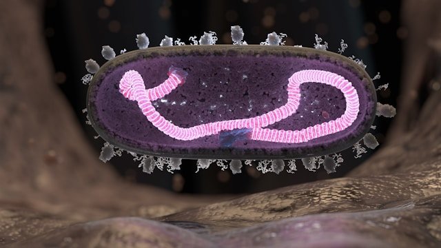 Microbiome intestinal