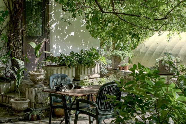 Équipements jardin